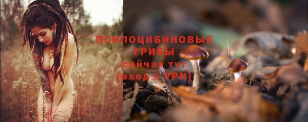 мет Михайлов