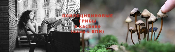 прущие крисы Михайловка
