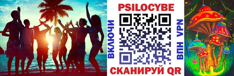 как найти закладки Микунь Псилоцибиновые грибы Cubensis